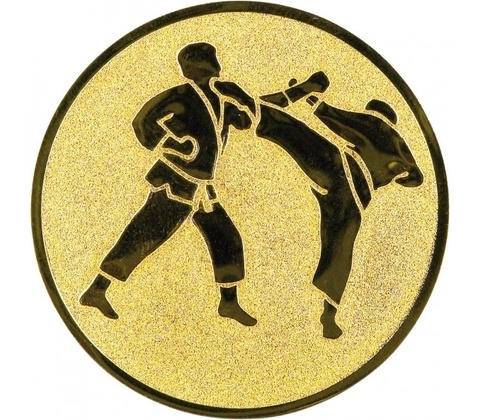 Emblém E78 Karate