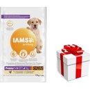 IAMS Dog Puppy Large Chicken 12 kg