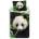 Jerry Fabrics Единично памучно детско спално бельо 140x200 cm Panda - Jerry Fabrics (18BS251)