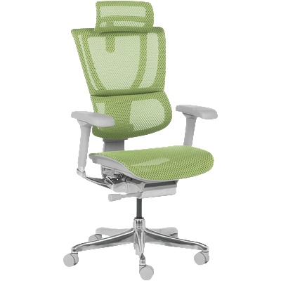 Ergohuman Ергономичен стол ergohuman ioo elite 2 - сива рамка - зелен