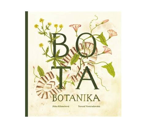 Bota botanika
