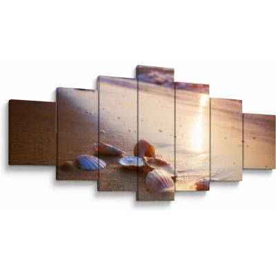 Obraz - Mušle, sedemdielne 210x100 cm
