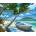 Norimpex - Puzzle Diamant painting: Beach with palm trees and a boat 30x40cm - 1 - 39 piese