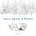 Once Upon a Forest | Pam Fong