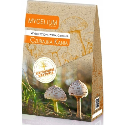 Mycelium houba Podhoubí 120 ml