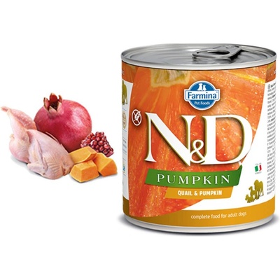 N&D Pumpkin Dog Adult Quail & Pumpkin 2 x 285 g
