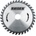 Raider 300x56Tx25.4 mm RD-SB07 (163107)