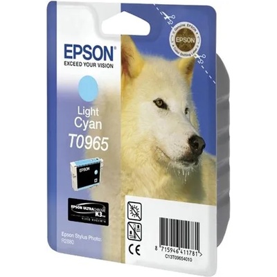 Epson T0965