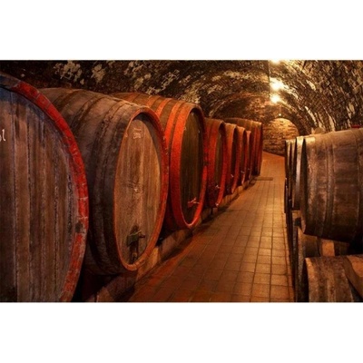 DIMEX ART Флизелинов фототапет бъчви за вино 375 x 250 см