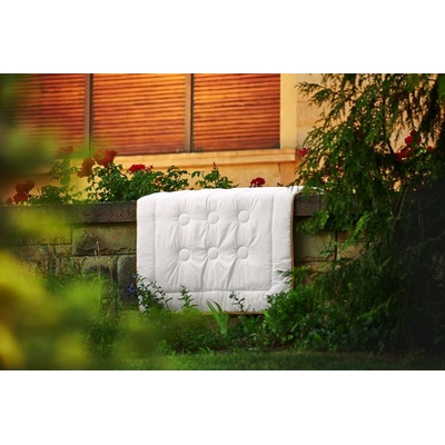 Ložnice21 Antibakteriálna prikrývka celoročný 300 g/m2 zlatá lemovka 155x220