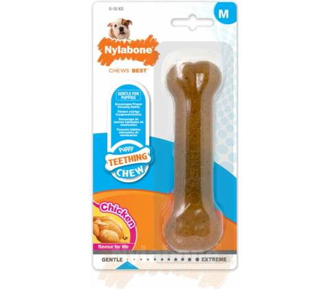 Nylabone Puppybone M