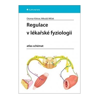 Regulace v lékařské fyziologii