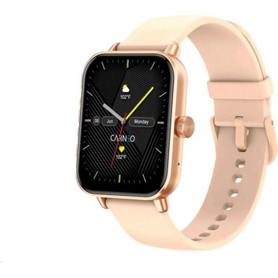CARNEO Versa HR+