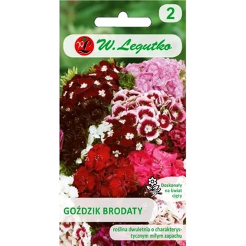 W. Legutko Брадато карамфилче с единични цветове, смес