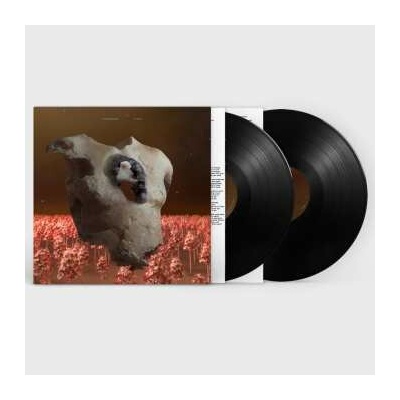SOAP & SKIN - TORSO 2 LP
