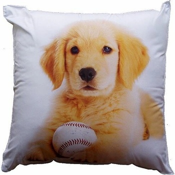 Dadka FotoVankúš Pes s balónikom 40x40