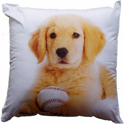 Dadka FotoVankúš Pes s balónikom 40x40