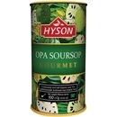 Hyson Soursup OPA zelený čaj 100 g