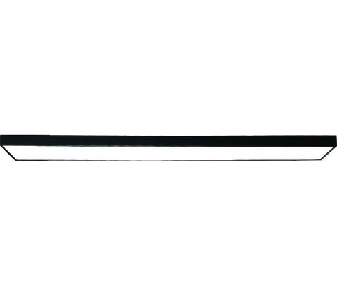NEDES ND4109