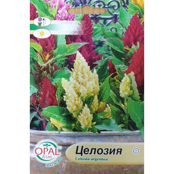 Opal Zi Целозия