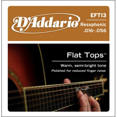 D'Addario EFT 13