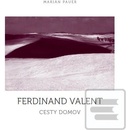 Cesty domov