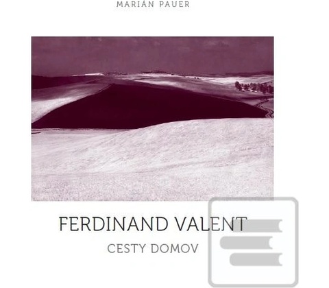 Cesty domov