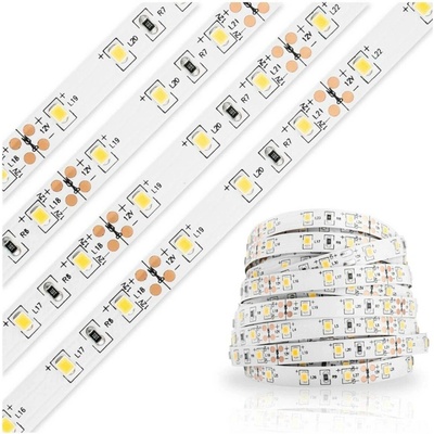 Eco Light EC79101