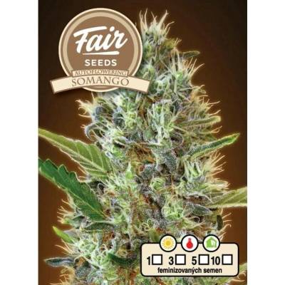 Fair Seeds AUTO Somango semena neobsahují THC 10 ks
