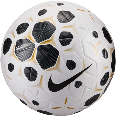 Nike Control Match Ball