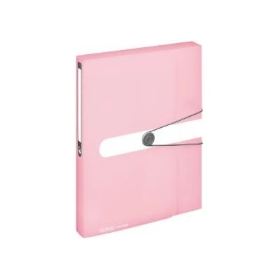Plastový box s gumičkou Herlitz A4 PP rose