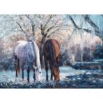 Cobble Hill - Puzzle Winter's Beauty - 500 piese