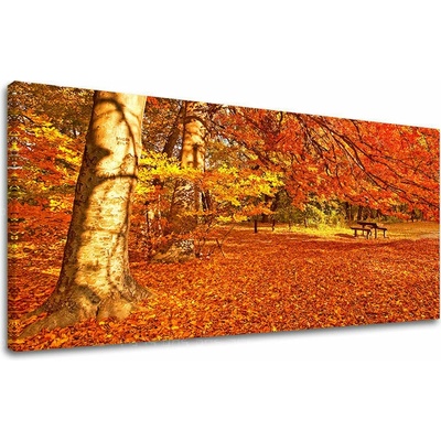 Obraz na stenu PANORÁMA STROMY - 40x80 cm
