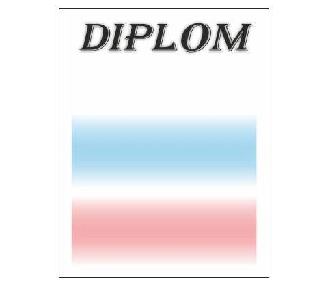 Diplom 10