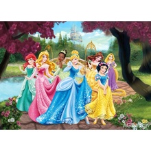 AG Design FTDNM-5217 Dětská vliesová fototapeta na zeď - Disney, Princezny, rozměry 155 x 110 cm