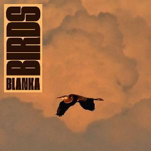Blanka - Birds (LP) (3516628448614)
