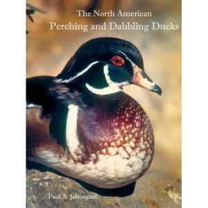 North American Perching and Dabbling Ducks | PAUL JOHNSGARD (ISBN: 9781609621094)