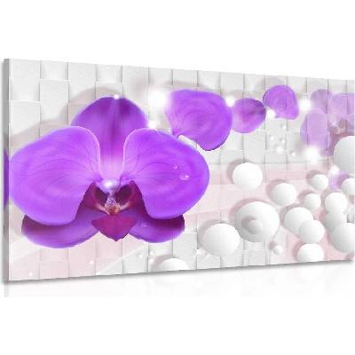 Obraz orchidej na abstraktním pozadí - 120x80