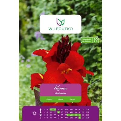 W. Legutko Канна Херкулес червена 1 брой