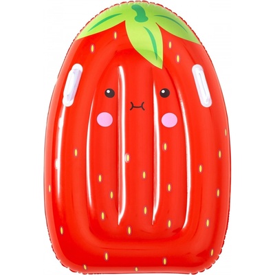 Bestway 42049 SURF BUDDY
