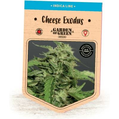 Garden Of Green Seedbank Cheese Exodus semena neobsahují THC 3 ks