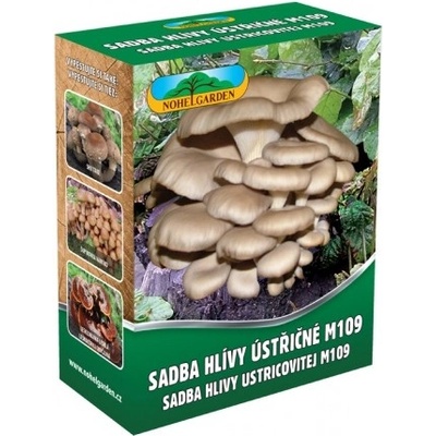 Nohel Garden Sadba hlívy ústřičné M109 250 ml
