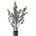 Bloomingville Изкуствен евкалипт (височина 117 cm) - Bloomingville (82061500)