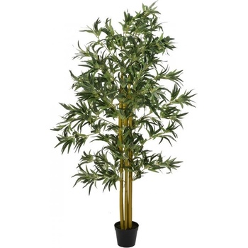 Bambus multi kmen 180 cm