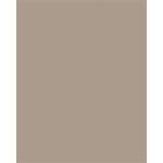 folia Цветна хартия a3, 130 г, 50 листа, folia, капучино 6373 (6373)