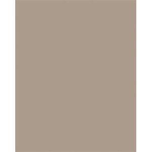 folia Цветна хартия a3, 130 г, 50 листа, folia, капучино 6373 (6373)