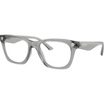 Versace VE3363U 5496