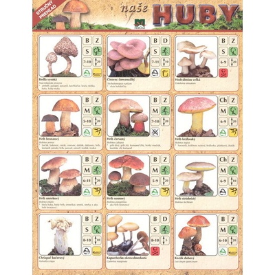 Naše huby - karta - Pavol Škubla