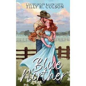 Blue Norther | Tilly H. Colson (ISBN: 9781972490006)