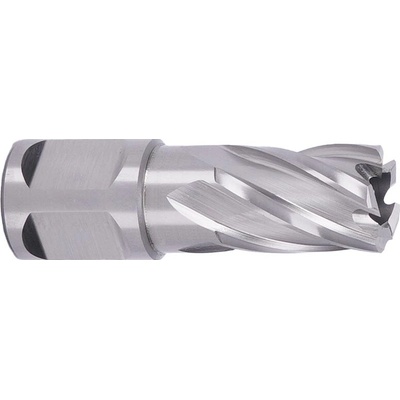 ABSE N-HS-W19-0170025